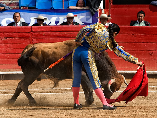 Quebrando la cintura