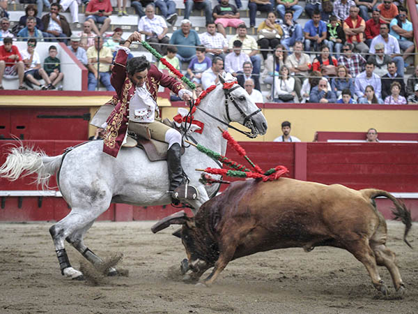 Luis Rouxinol, al estribo