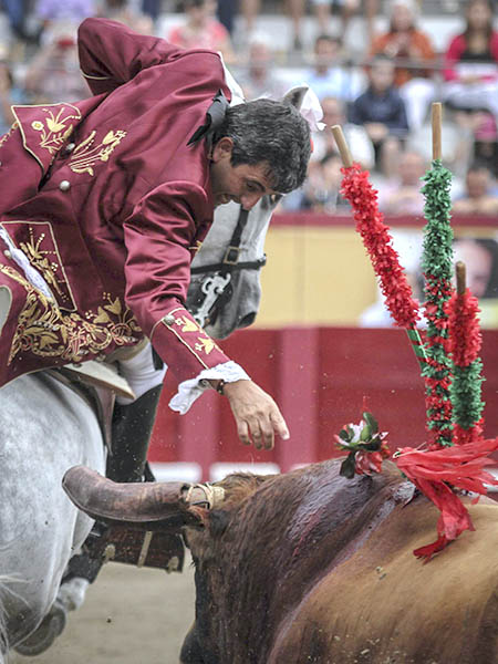 Encelando al ejemplar