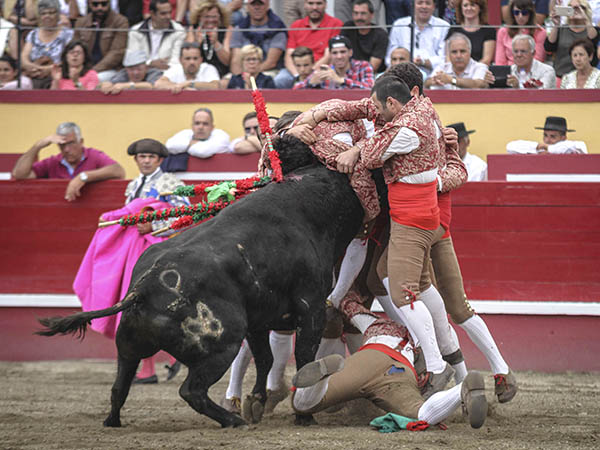 Emoci�n en la segunda de feria