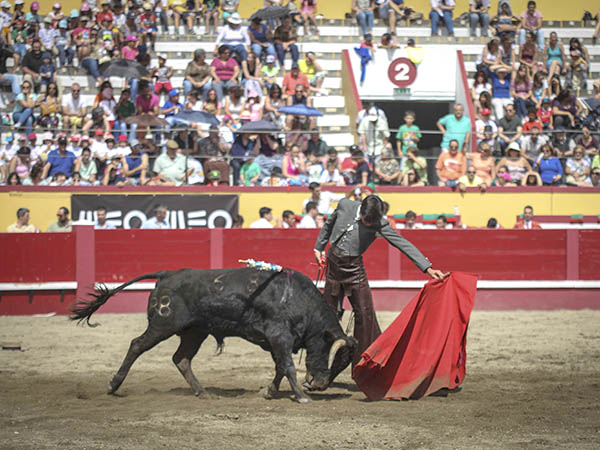 Naturales portugueses