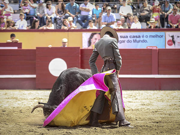 Hermosa media de Juanito Silva