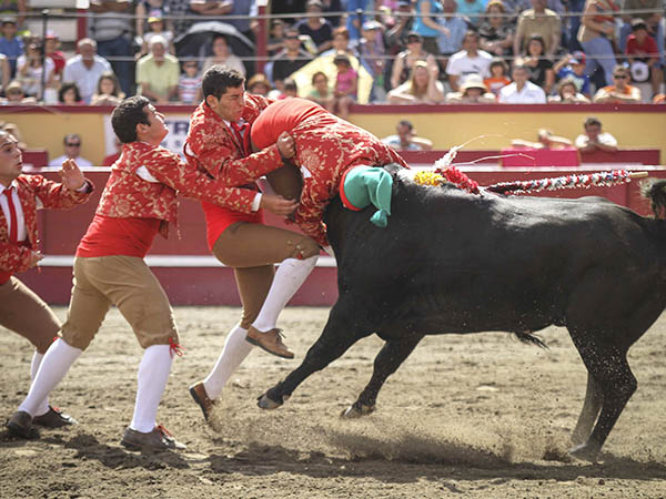 Forcados Juveniles de la Tertulia