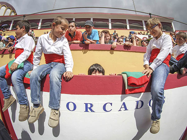 Todos quisieran estar ah�