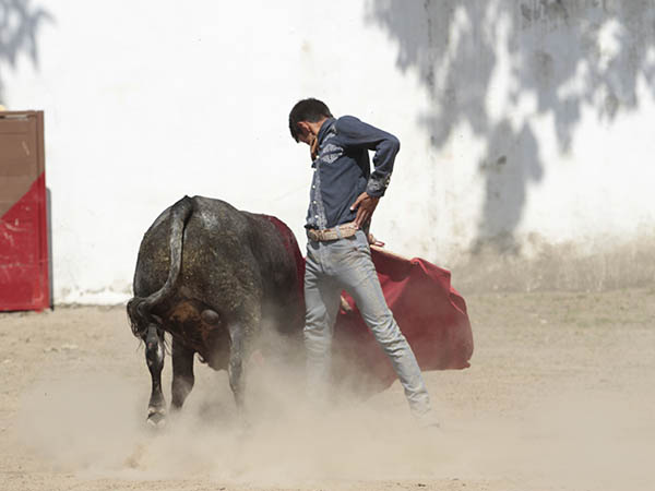 Sometiendo la embestida