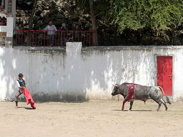 Sangr� hasta la pezu�a