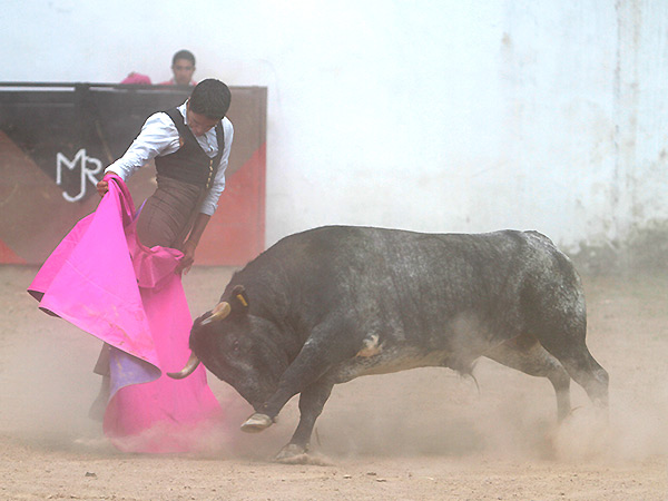 Flores, con el toro de Los Encinos