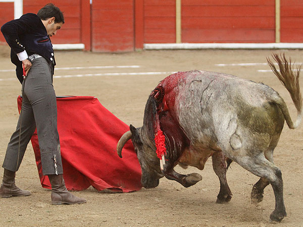 Calidad en la embestida