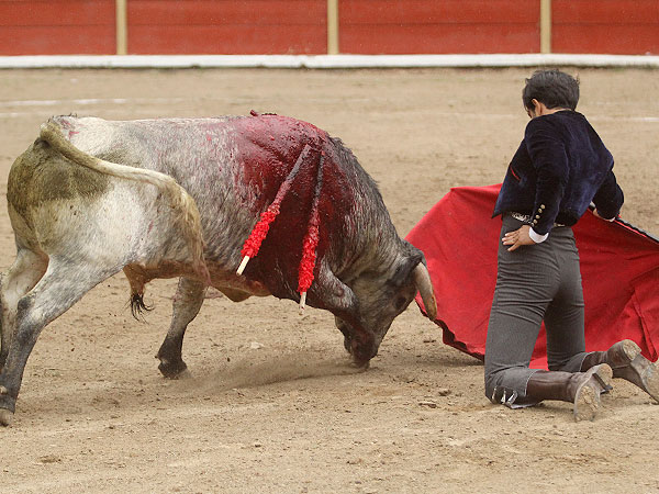 Templando de hinojos