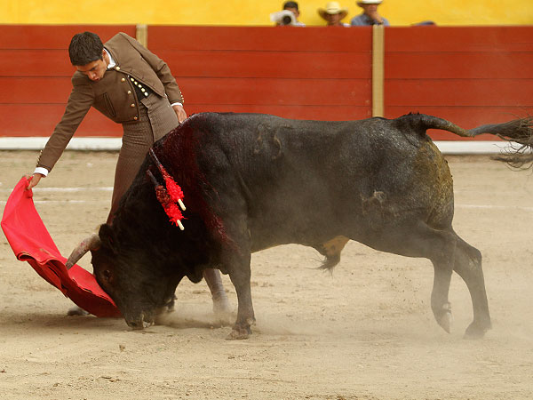 El enga�o en los belfos