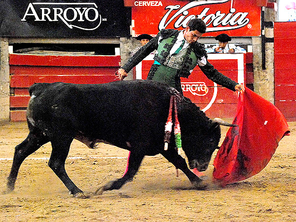 Y en la �ltima tambi�n