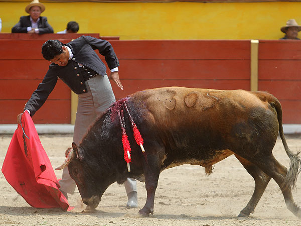 De trazo extraordinario