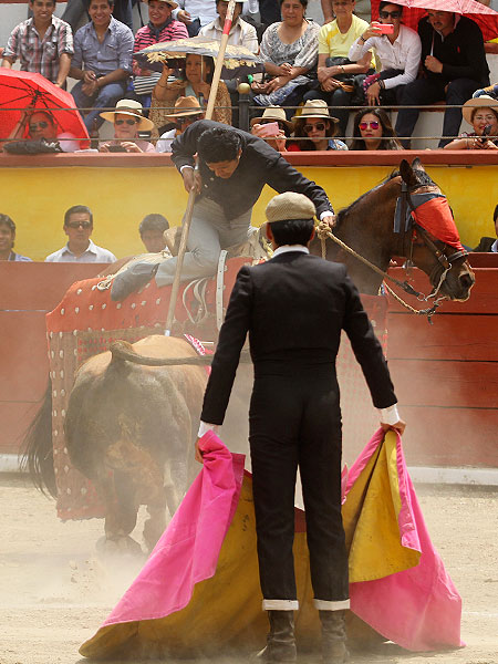 Picando a su toro