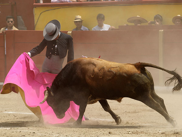 La cadencia de Angelino de Arriaga