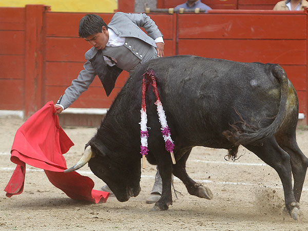 Faena de gran merito