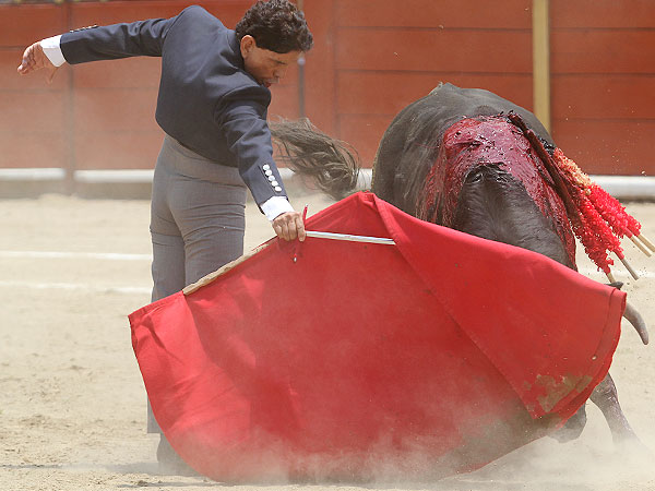 Disfrutando la embestida