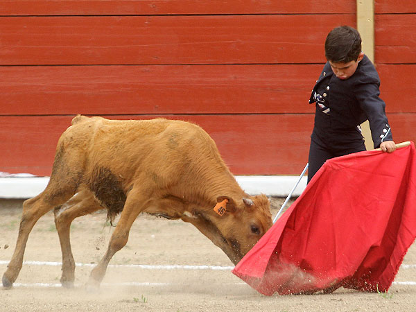 Sentido y repozado natural
