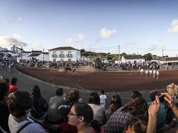 Fiestas tradicionales