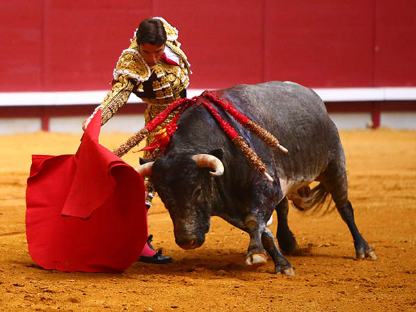 Roble�o: Oreja y silencio