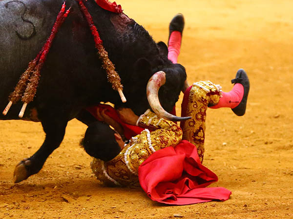 Tres trayectorias en el muslo