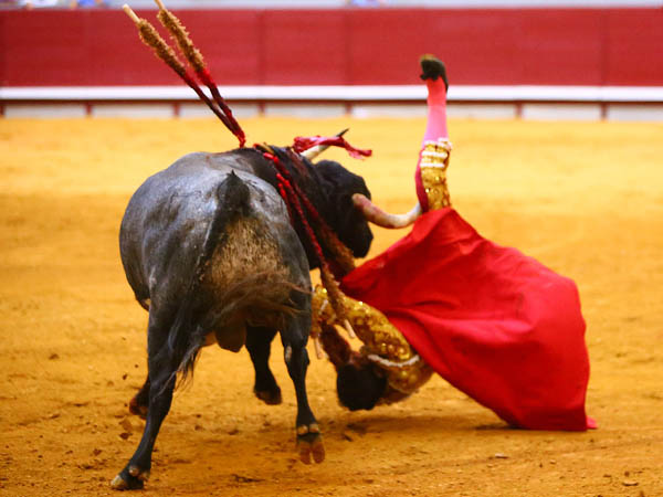 Prendido de la pierna derecha