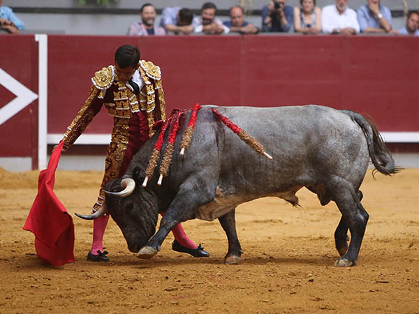 Entendi� bien al c�rdeno