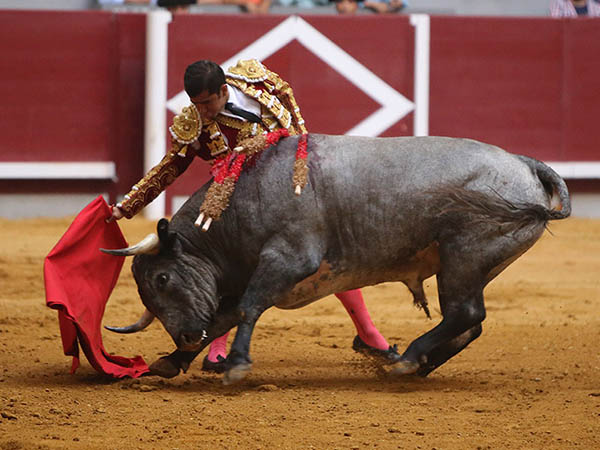 Largas tandas por el derecho