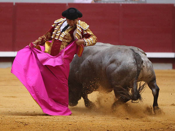 Ovacionado en las chicuelinas