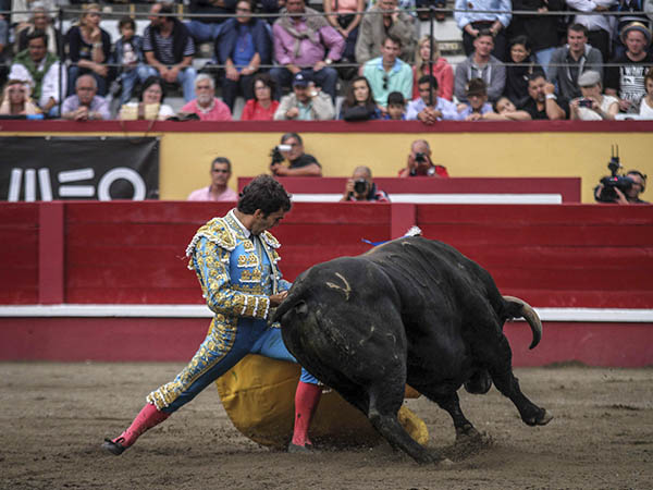 Intenci�n de buen toreo