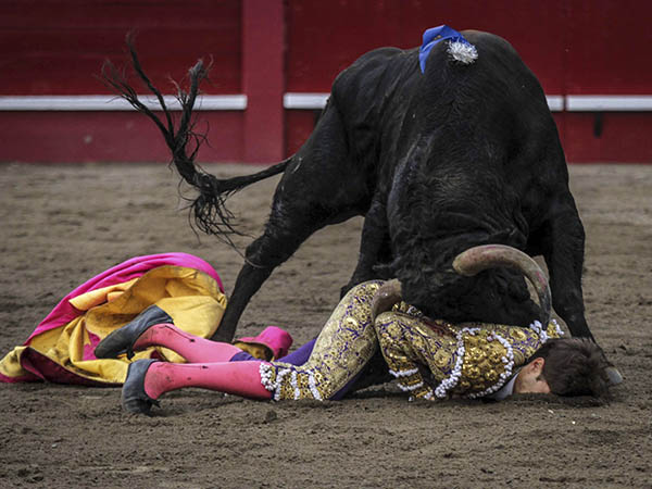 A merced del ejemplar