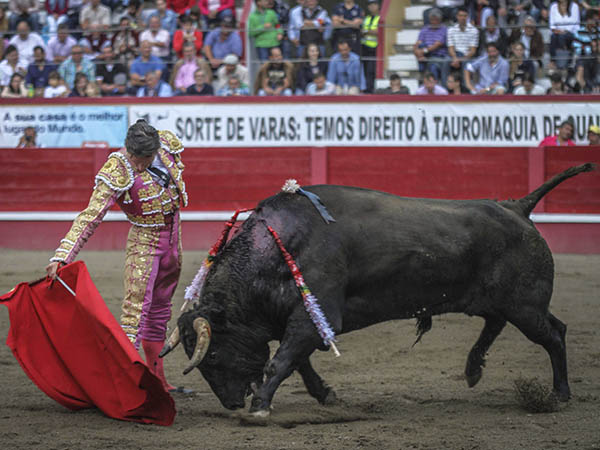 Oficio y determinaci�n