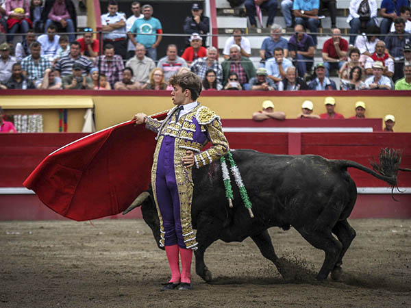 Conocedor del p�blico isle�o