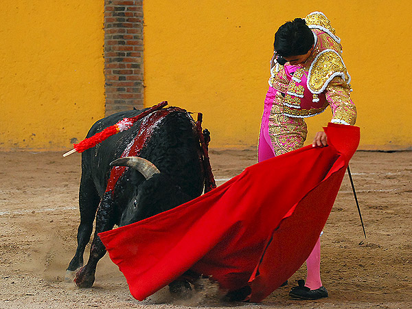 El trazo de Carlos Rodr�guez