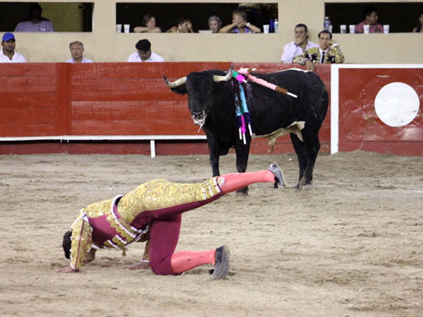 Cari�o por su plaza