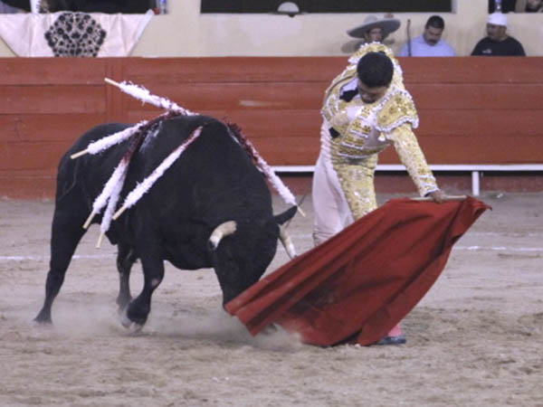 El respetable le reconoci�