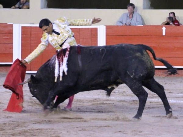 Temple del Le�n de Caracas