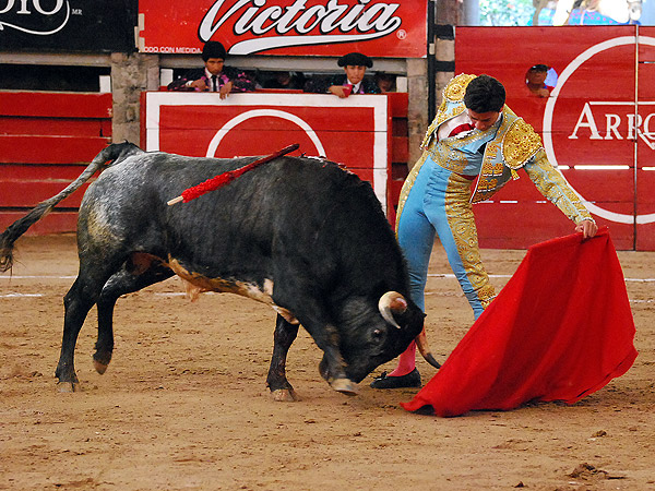 Miguel Alejandro, natural