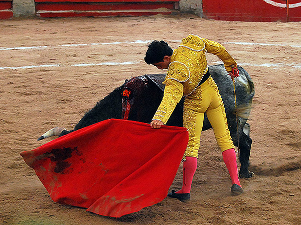 El arte de Solanilla