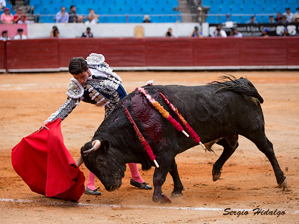 Mostrando su calidad