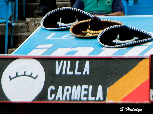 La ganader�a de hoy