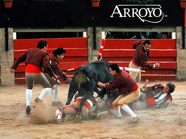 Los forcados se la jugaron