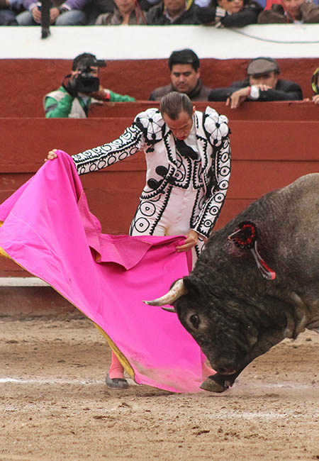 Luci� a la ver�nica