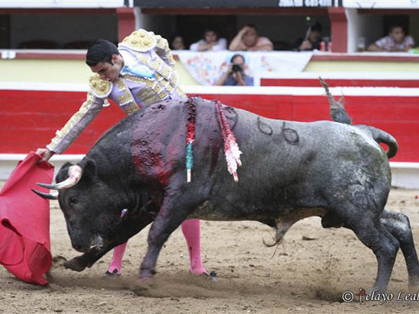 Baj� y templ� con mando