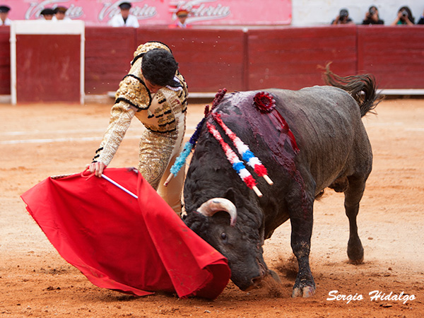 Platerito, cerca del triunfo
