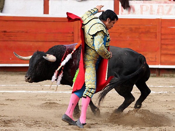 El adorno del molinete