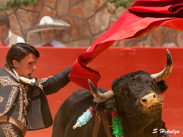 Michelito, excelente actuacion