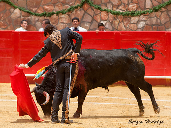 Aguantando la embestida