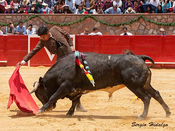 La solvencia de Sergio Flores