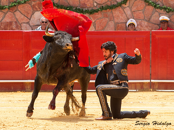 Como los buenos vinos