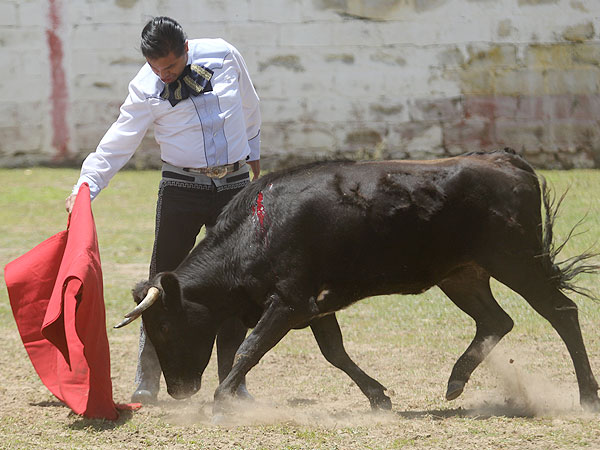 Luis Miguel Martinez en torero